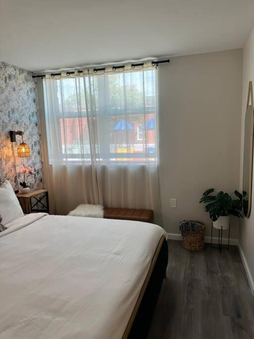 Home Haven, Walk To Little Italy & Wooster Square New Haven Dış mekan fotoğraf